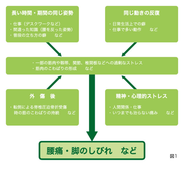 腰 痛み 左 内臓 の